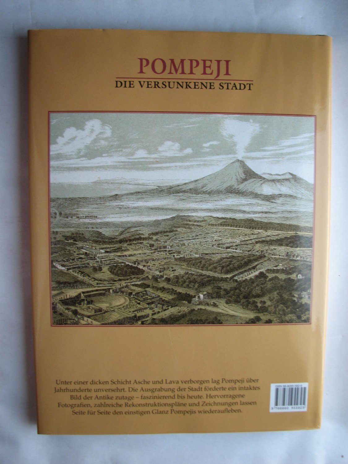 Pompeji. Die versunkene Stadt. Nappo Salvatore Ciro Buch